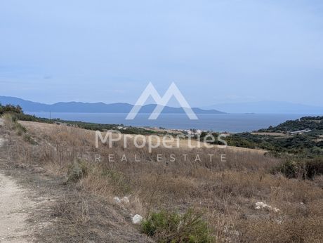 Αγροτεμάχια 8.000 τ.μ. προς πώληση
