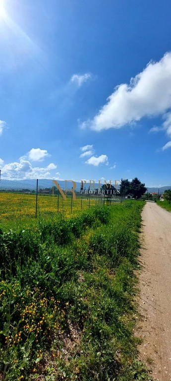 Αγροτεμάχια 4.746 τ.μ. πρός πώληση, Θεσσαλονίκη - Περιφ/Κοί Δήμοι, Θέρμη