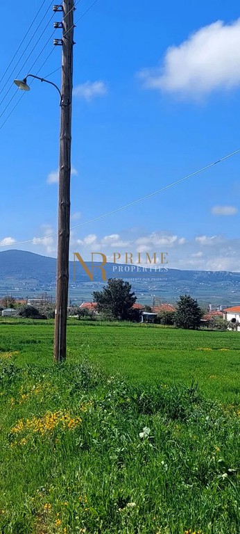 Αγροτεμάχια 4.746 τ.μ. πρός πώληση, Θεσσαλονίκη - Περιφ/Κοί Δήμοι, Θέρμη