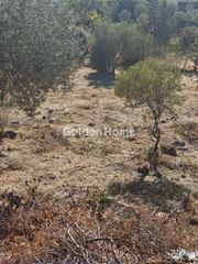Οικόπεδο 751 τ.μ. προς πώληση, Σαρωνίδα Αττικής-thumb-4