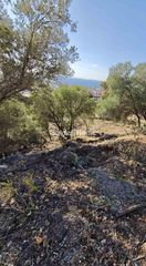 Οικόπεδο 751 τ.μ. προς πώληση, Σαρωνίδα Αττικής-thumb-3