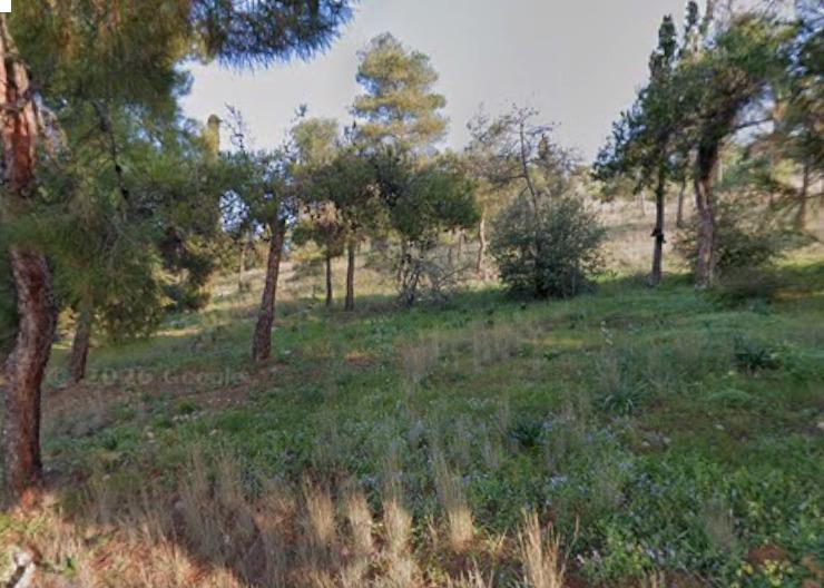 Μονοκατοικία 100 τ.μ. πρός πώληση, Εύβοια, Ανθηδώνος