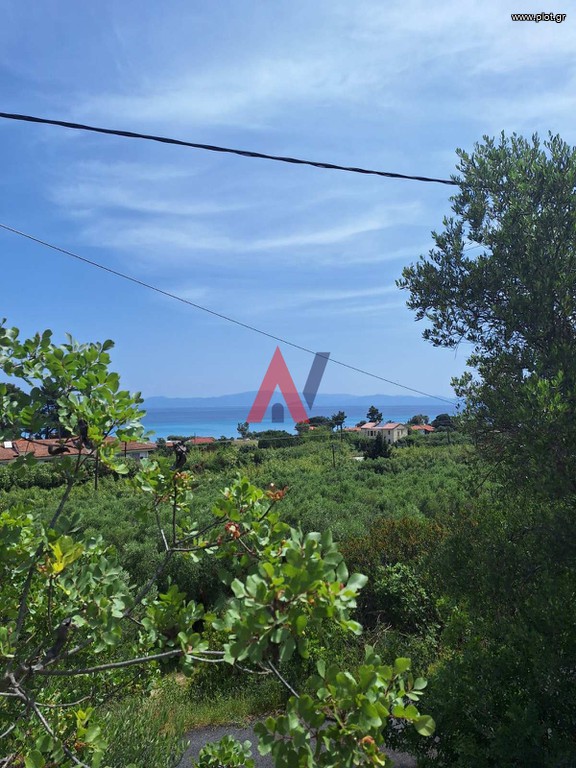 Αγροτεμάχια 3.200 τ.μ. προς πώληση, Πολύχρονο