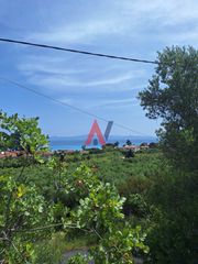 Αγροτεμάχια 3.200 τ.μ. πρός πώληση