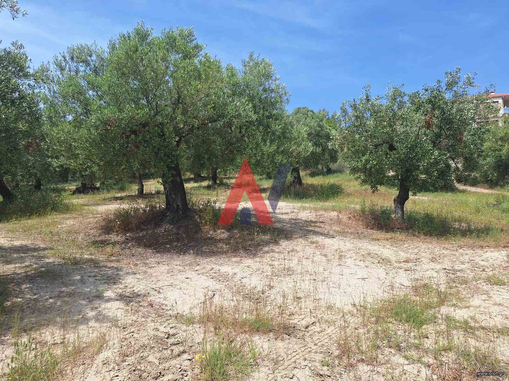Αγροτεμάχια 3.200 τ.μ. προς πώληση, Πολύχρονο