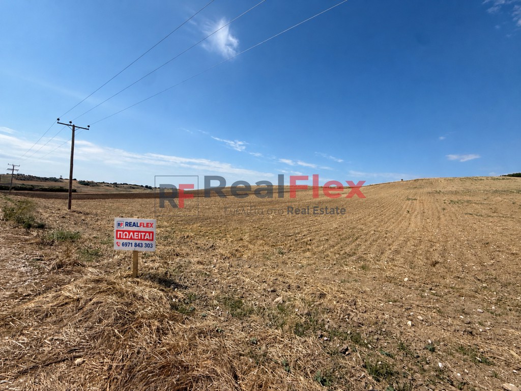 Αγροτεμάχια 53.000 τ.μ. πρός πώληση, Ν. Λάρισας, Κοιλάδα