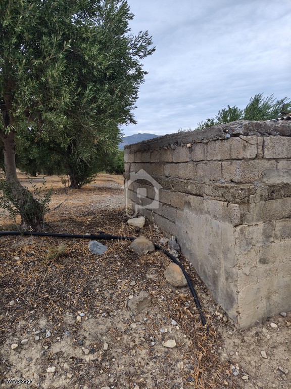 Αγροτεμάχια 4.500 τ.μ. πρός πώληση, Ν. Λασιθίου, Ιεράπετρα