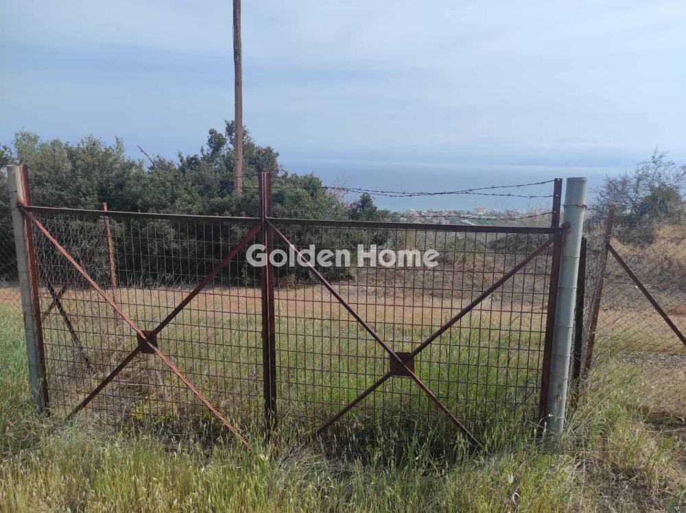 Αγροτεμάχια 4.740 τ.μ. προς πώληση, Μερτικαίικα