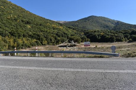 Αγροτεμάχια 12.500 τ.μ. προς πώληση