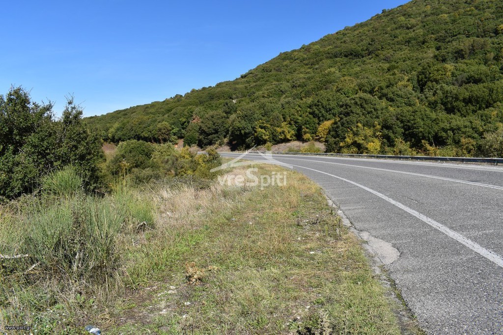 Αγροτεμάχια 12.500 τ.μ. προς πώληση, Ιωάννινα