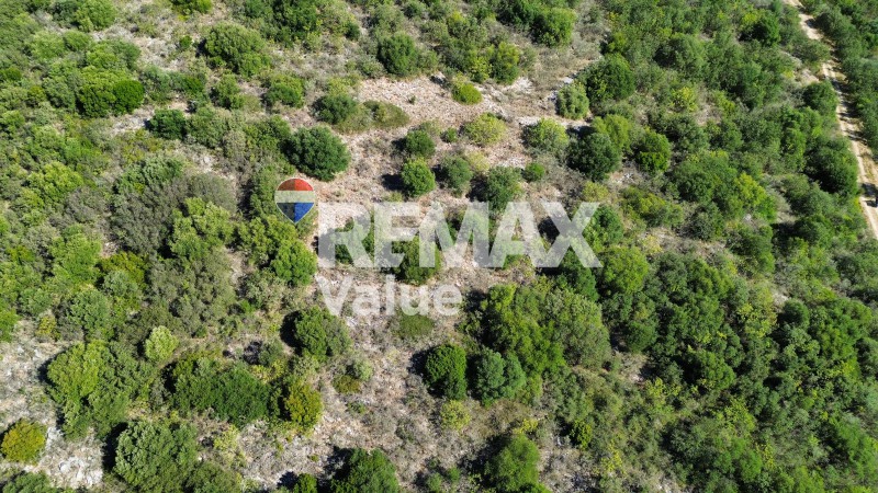 Αγροτεμάχια 11.500 τ.μ. προς πώληση, Απολλώνιο