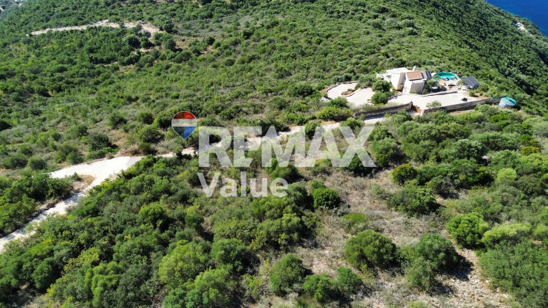 Αγροτεμάχια 11.500 τ.μ. προς πώληση, Απολλώνιο