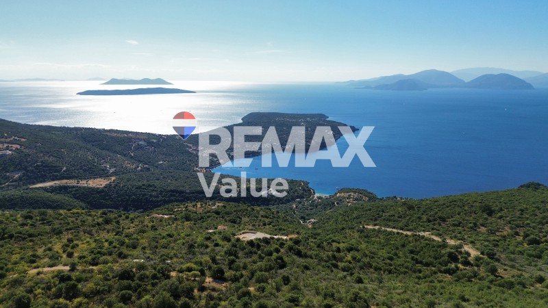 Αγροτεμάχια 11.500 τ.μ. προς πώληση, Απολλώνιο
