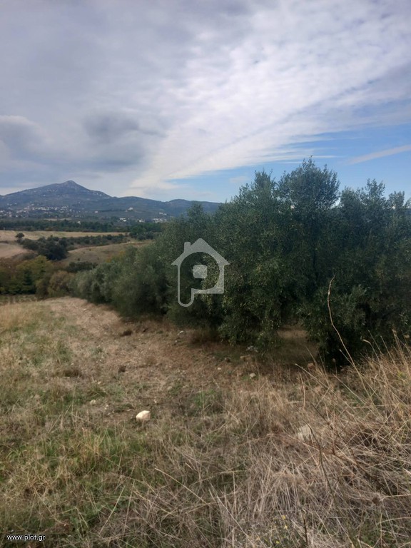Αγροτεμάχια 1.950 τ.μ. προς πώληση, Καπανδρίτι Αττικής