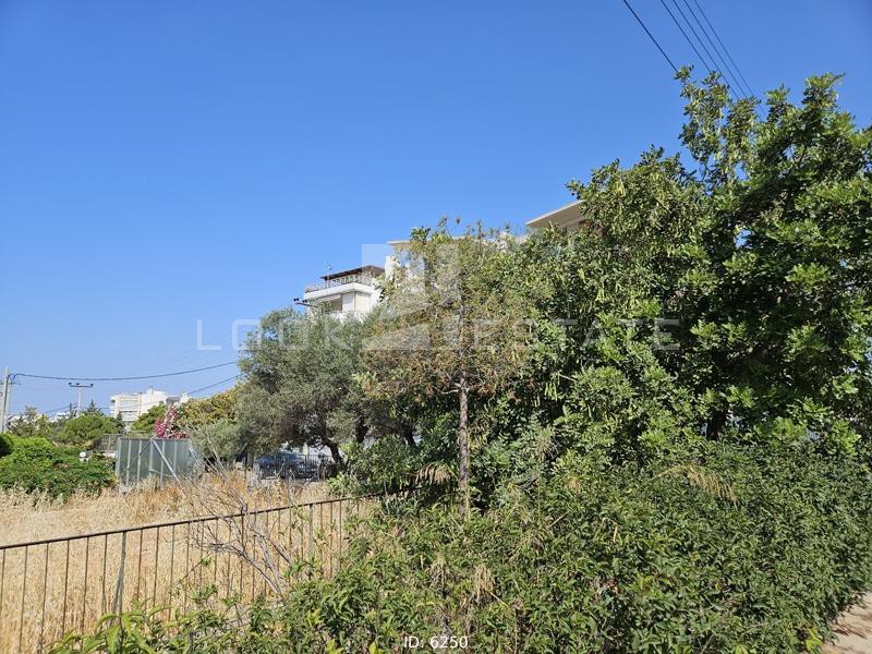 Οικόπεδο 600 τ.μ. προς πώληση, Αιξωνή