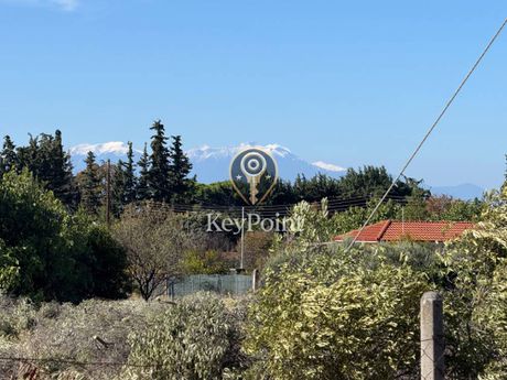 Οικόπεδο 250 τ.μ. προς πώληση