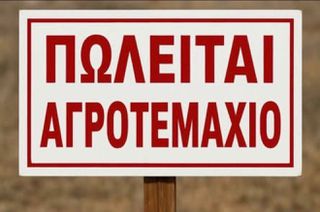 Αγροτεμάχια 5.250 τ.μ. πρός πώληση