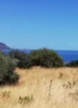 Οικόπεδο 1.000 τ.μ. πρός πώληση