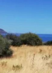 Οικόπεδο 1.000 τ.μ. πρός πώληση