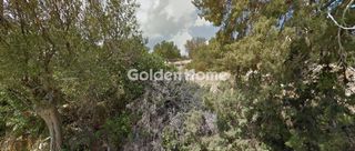 Land plot 3.600 sqm for sale