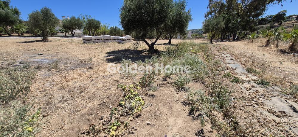 Οικόπεδο 3.532 τ.μ. προς πώληση, Κέντρο Ραφήνας