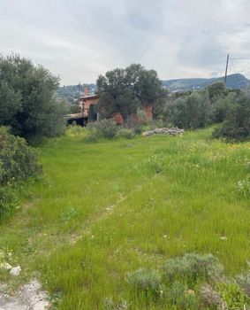 Οικόπεδο 2.000 τ.μ. πρός ενοικίαση