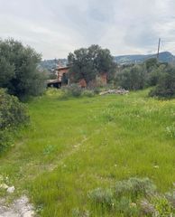 Land plot 2.000 sqm for rent