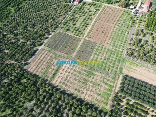 Αγροτεμάχια 21.305 τ.μ. προς πώληση, Αργολίδα, Άργος-thumb-9