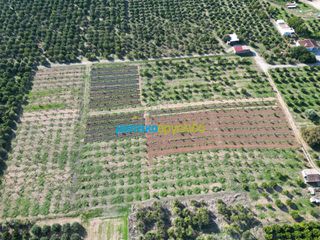 Αγροτεμάχια 21.305 τ.μ. προς πώληση, Αργολίδα, Άργος-thumb-15