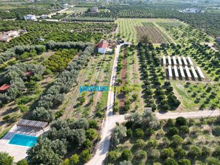 Αγροτεμάχια 21.305 τ.μ. προς πώληση, Αργολίδα, Άργος-thumb-1