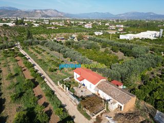 Αγροτεμάχια 21.305 τ.μ. προς πώληση, Αργολίδα, Άργος-thumb-14