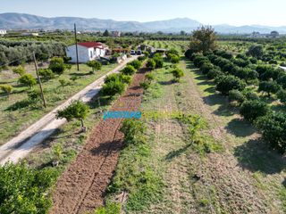 Αγροτεμάχια 21.305 τ.μ. προς πώληση, Αργολίδα, Άργος-thumb-22