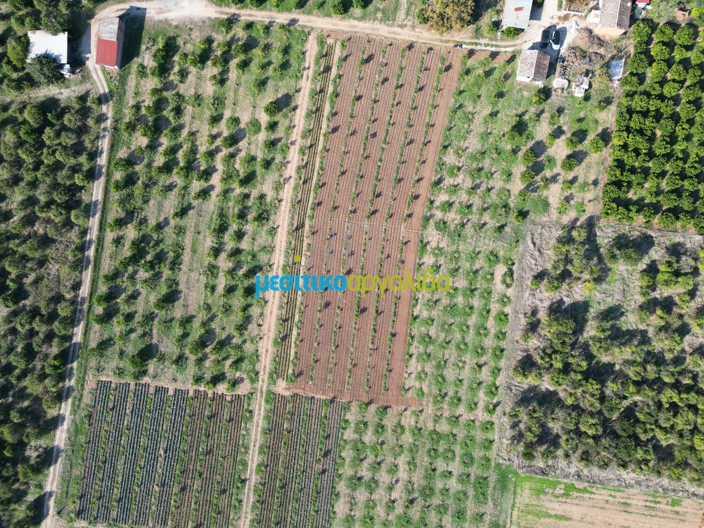 Αγροτεμάχια 21.305 τ.μ. προς πώληση, Αργολίδα, Άργος