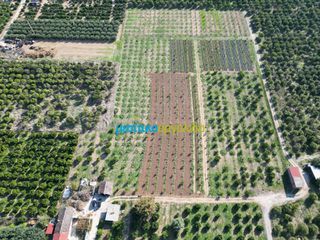 Αγροτεμάχια 21.305 τ.μ. προς πώληση, Αργολίδα, Άργος-thumb-18