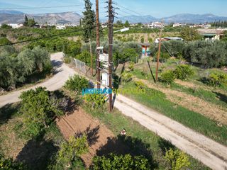 Αγροτεμάχια 21.305 τ.μ. προς πώληση, Αργολίδα, Άργος-thumb-4