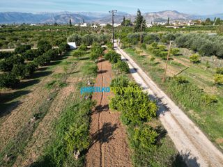Αγροτεμάχια 21.305 τ.μ. προς πώληση, Αργολίδα, Άργος-thumb-20