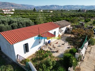Αγροτεμάχια 21.305 τ.μ. προς πώληση, Αργολίδα, Άργος-thumb-17
