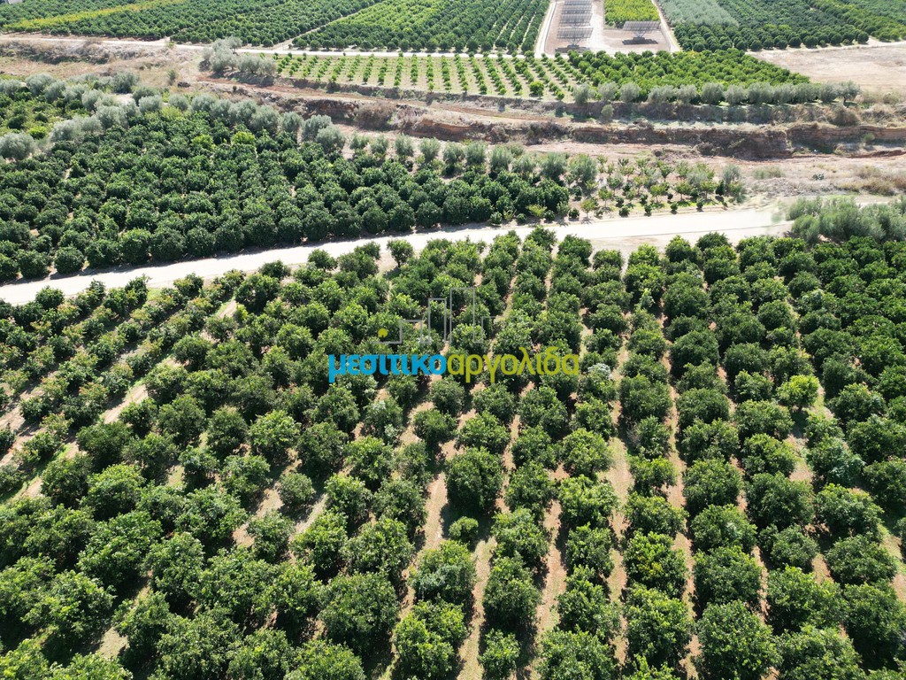 Αγροτεμάχια 9.187,26 τ.μ. προς πώληση, Αργολίδα, Κουτσοπόδι