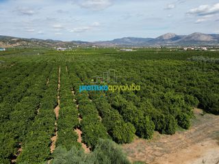 Αγροτεμάχια 9.187,26 τ.μ. πρός πώληση, Αργολίδα, Κουτσοπόδι-thumb-17