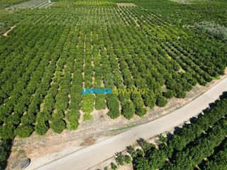 Αγροτεμάχια 9.187,26 τ.μ. πρός πώληση, Αργολίδα, Κουτσοπόδι-thumb-10