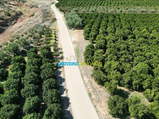 Αγροτεμάχια 9.187,26 τ.μ. πρός πώληση, Αργολίδα, Κουτσοπόδι-thumb-7