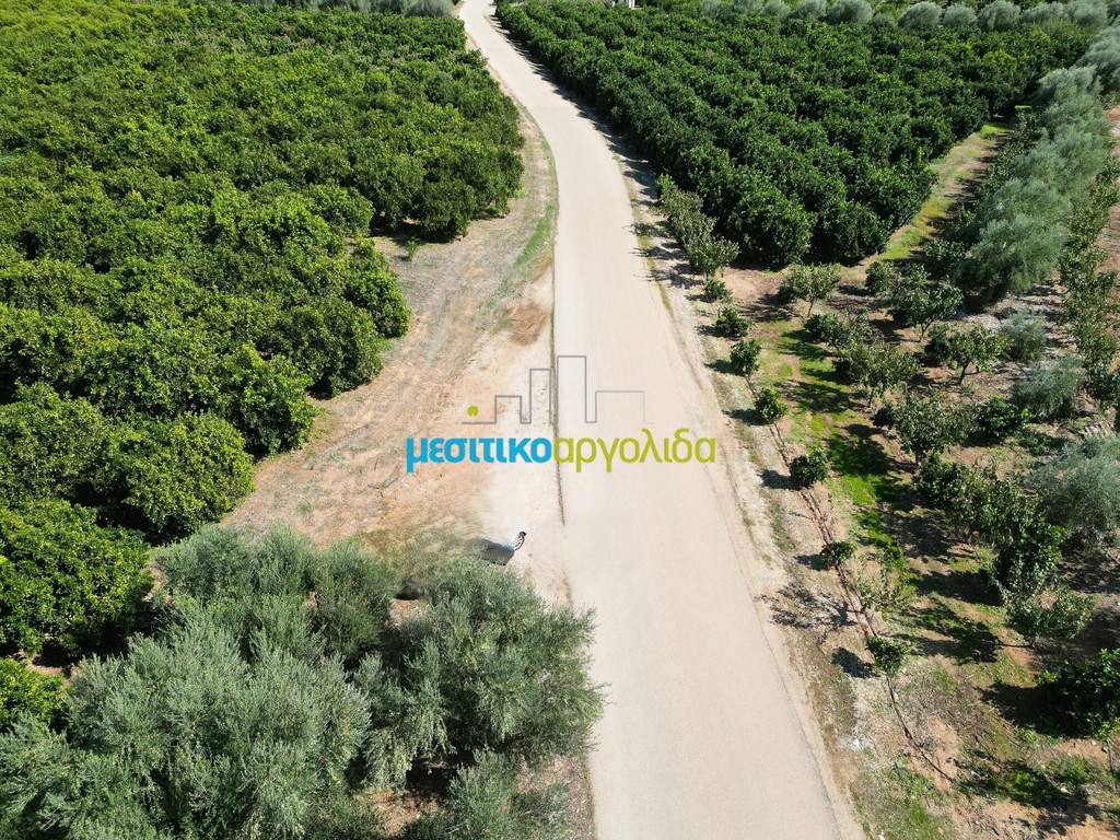 Αγροτεμάχια 9.187,26 τ.μ. προς πώληση, Αργολίδα, Κουτσοπόδι