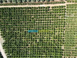 Αγροτεμάχια 9.187,26 τ.μ. πρός πώληση, Αργολίδα, Κουτσοπόδι-thumb-12
