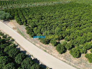 Αγροτεμάχια 9.187,26 τ.μ. πρός πώληση, Αργολίδα, Κουτσοπόδι-thumb-5
