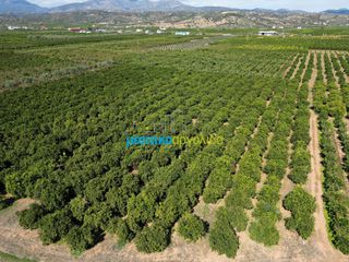 Αγροτεμάχια 9.187,26 τ.μ. πρός πώληση, Αργολίδα, Κουτσοπόδι-thumb-16