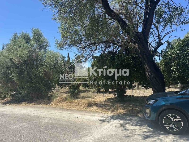 Οικόπεδο 2.165 τ.μ. πρός πώληση, Ν. Ηλείας, Πύργος