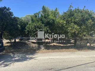 Οικόπεδο 2.165 τ.μ. πρός πώληση, Ν. Ηλείας, Πύργος-thumb-4