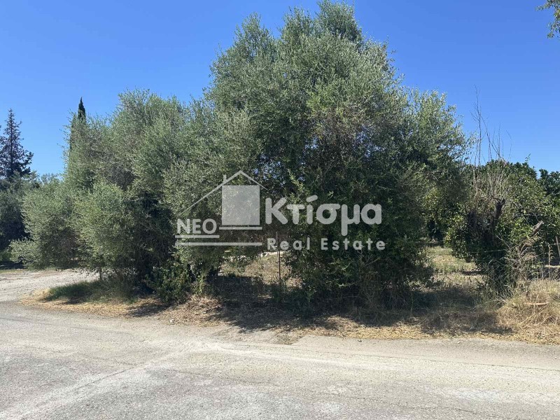 Οικόπεδο 2.165 τ.μ. πρός πώληση, Ν. Ηλείας, Πύργος