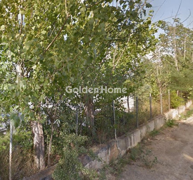 Αγροτεμάχια 12.217 τ.μ. προς πώληση, Νυμφών