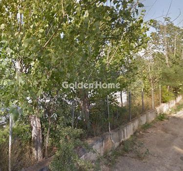Αγροτεμάχια 12.217 τ.μ. προς πώληση